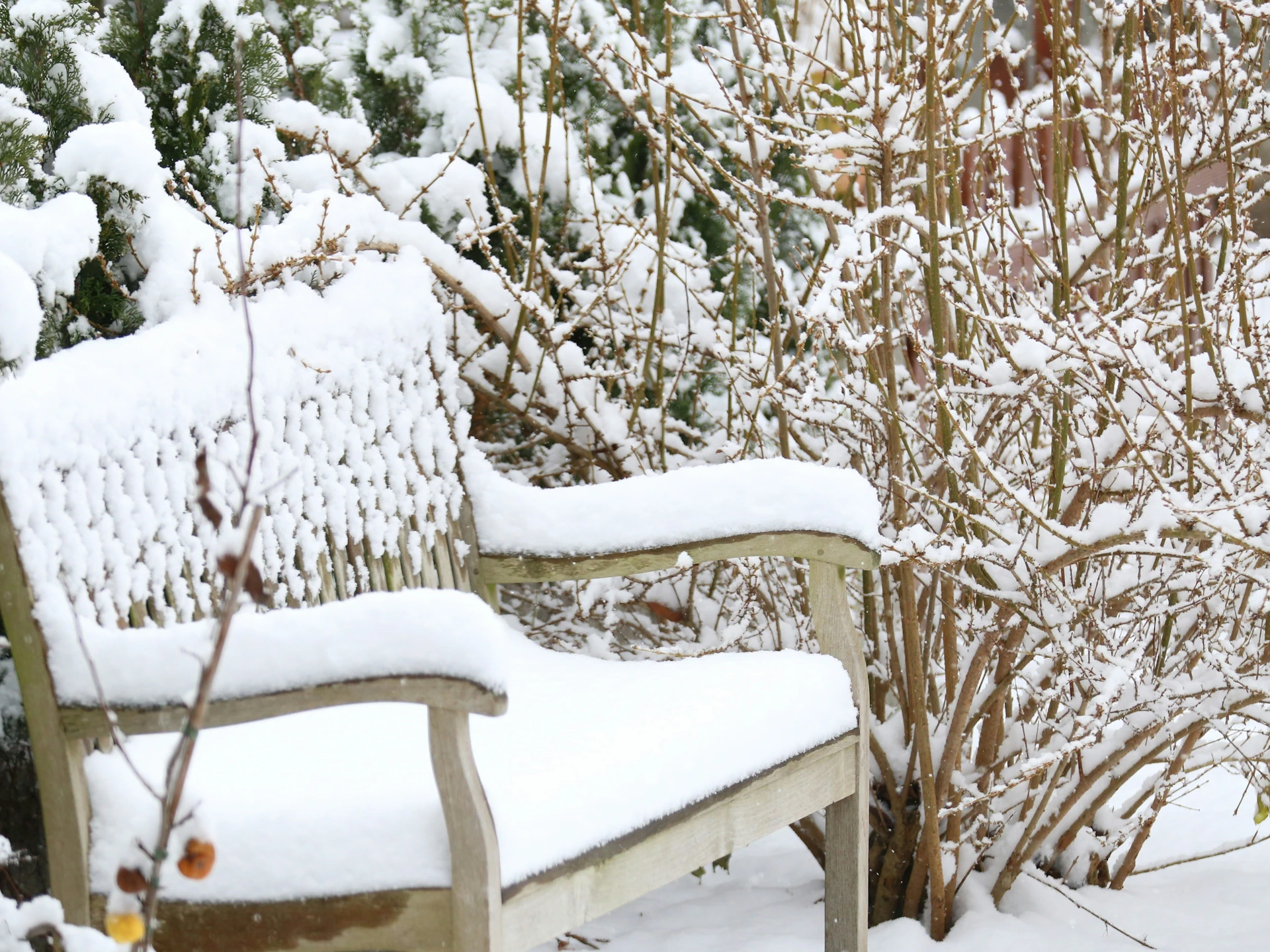 Winterzeit bei raindrop & garden - Bis 30. März 2026 Termine nur nach Vereinbarung